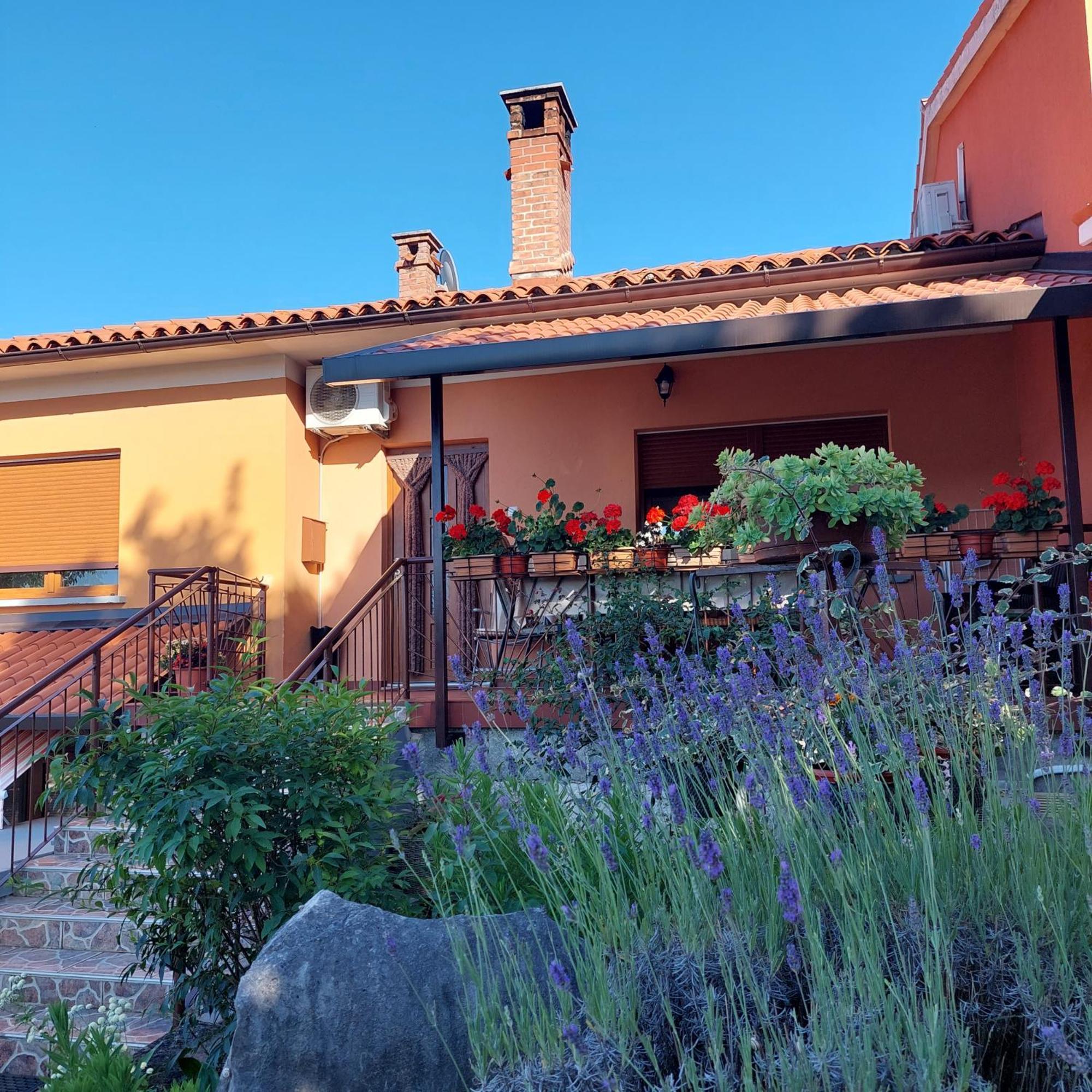 Apartman Branka Labin  Buitenkant foto